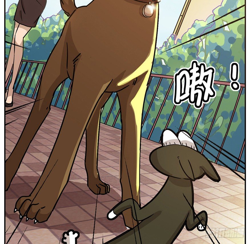 《回到过去变成猫外传》第2爪 做猫第一课（上） 第27页