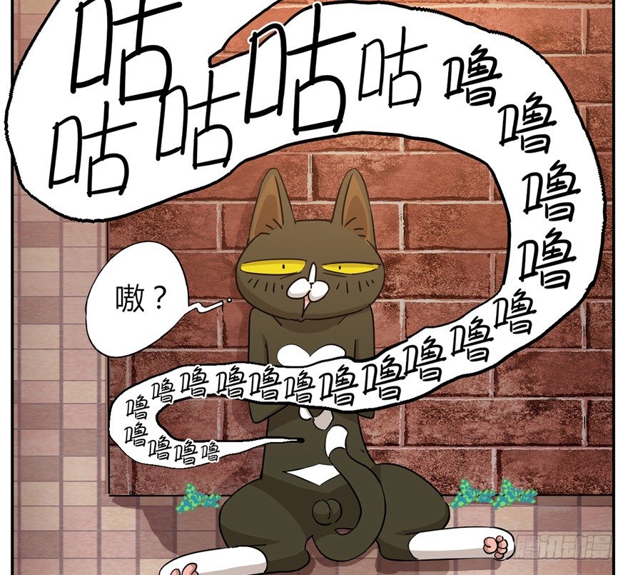 《回到过去变成猫外传》第2爪 做猫第一课（上） 第31页