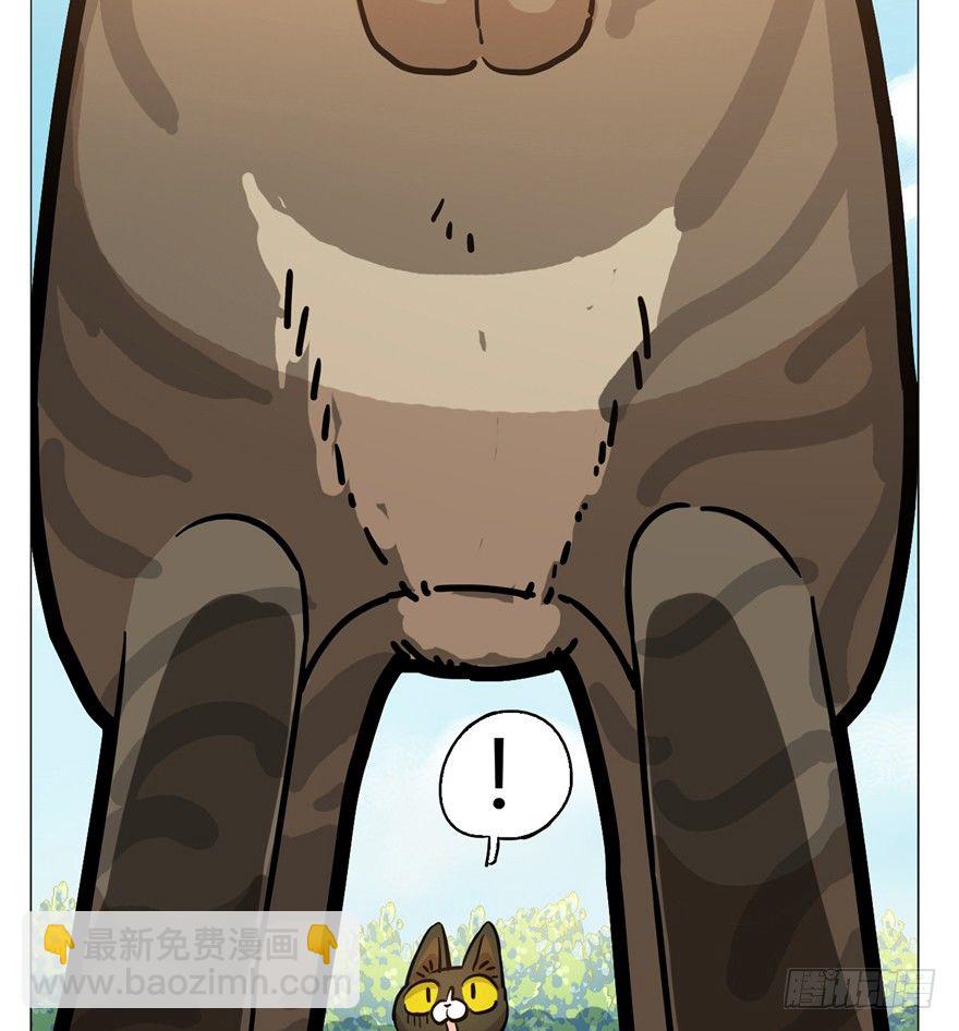 《回到过去变成猫外传》第2爪 做猫第一课（上） 第5页
