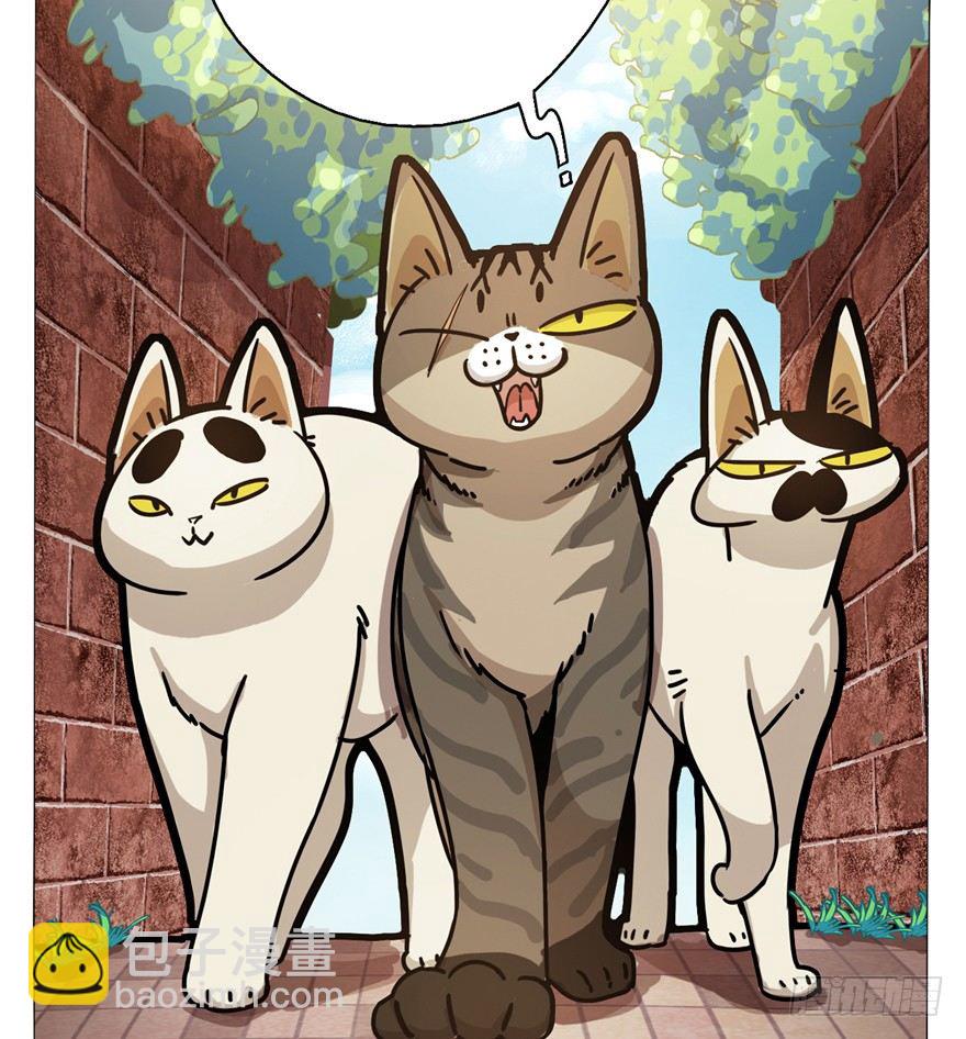 《回到过去变成猫外传》第2爪 做猫第一课（上） 第7页