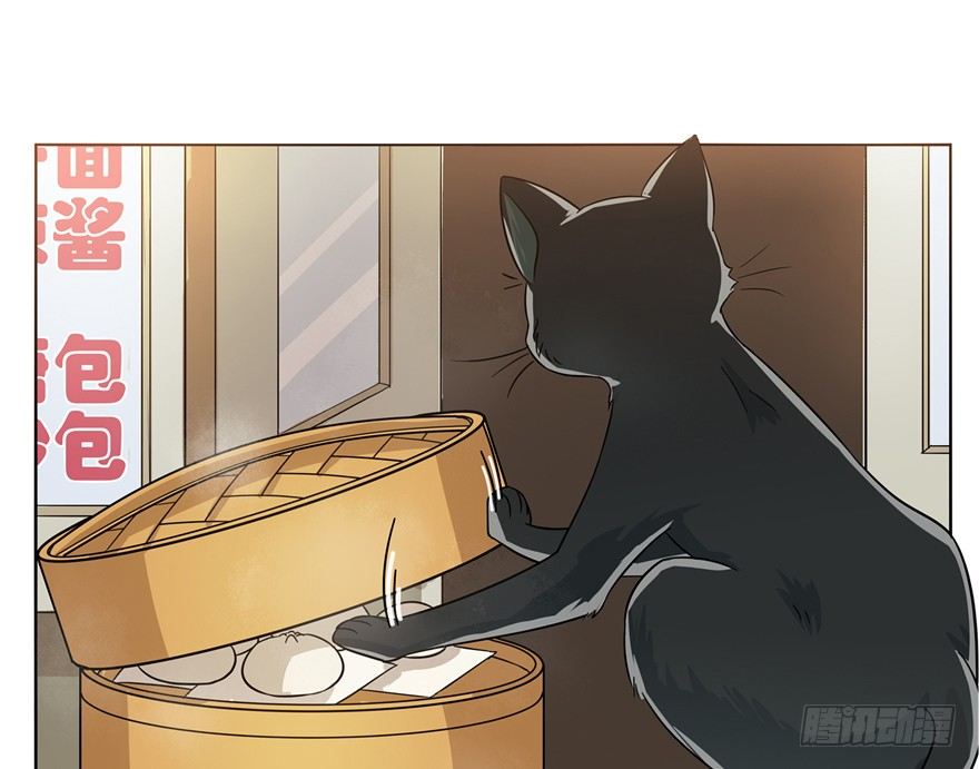 《回到过去变成猫外传》第3爪 做猫第一课（下） 第11页
