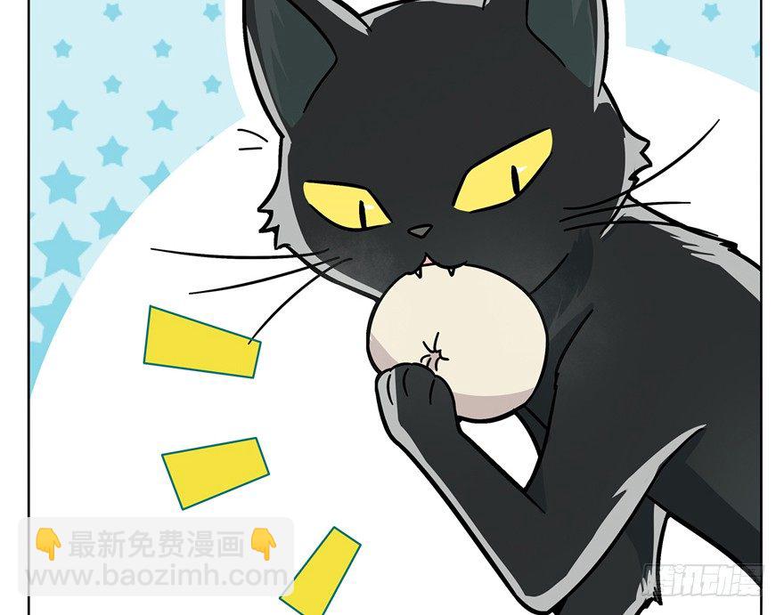 《回到过去变成猫外传》第3爪 做猫第一课（下） 第13页