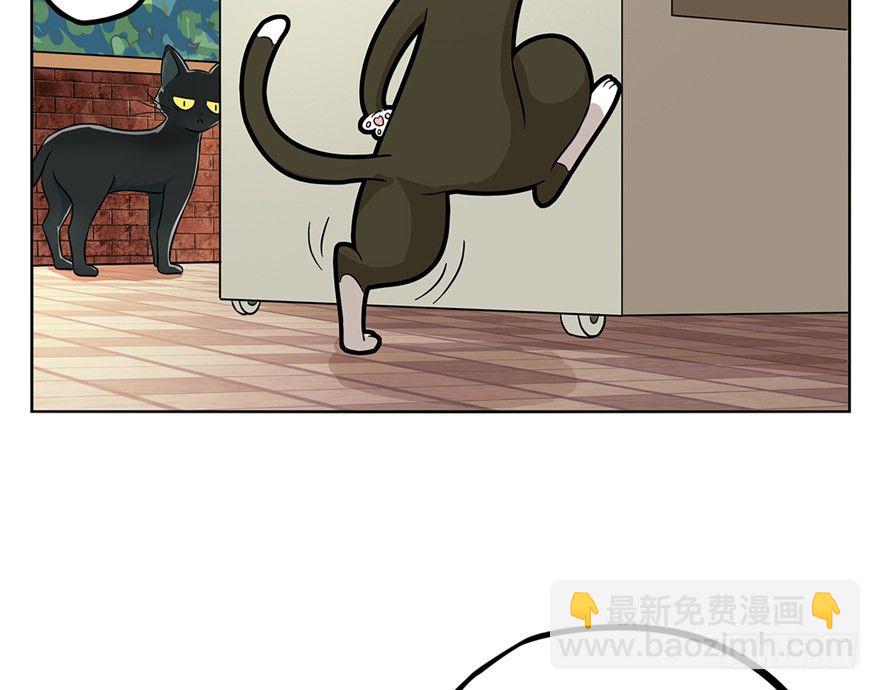 《回到过去变成猫外传》第3爪 做猫第一课（下） 第17页
