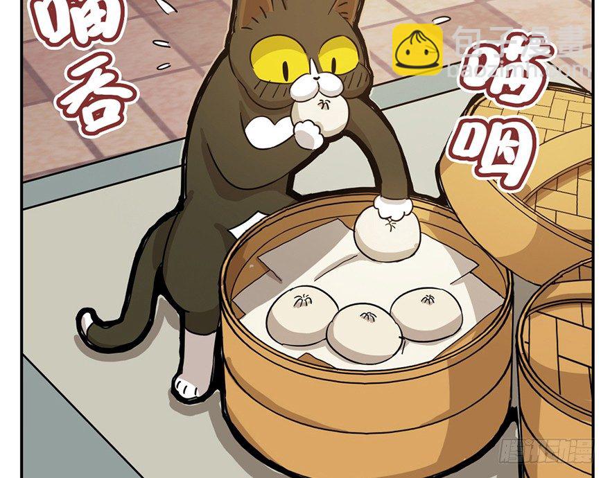 《回到过去变成猫外传》第3爪 做猫第一课（下） 第19页