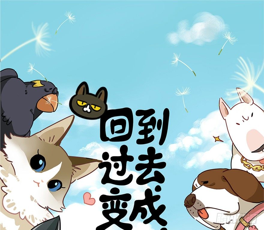 《回到过去变成猫外传》第3爪 做猫第一课（下） 第1页
