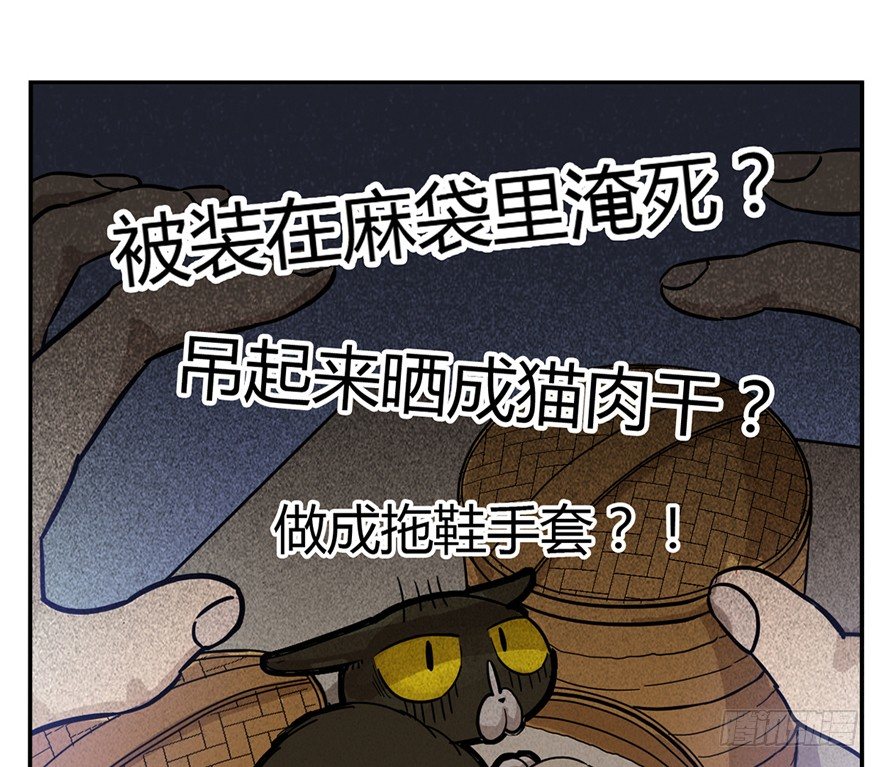 《回到过去变成猫外传》第3爪 做猫第一课（下） 第23页