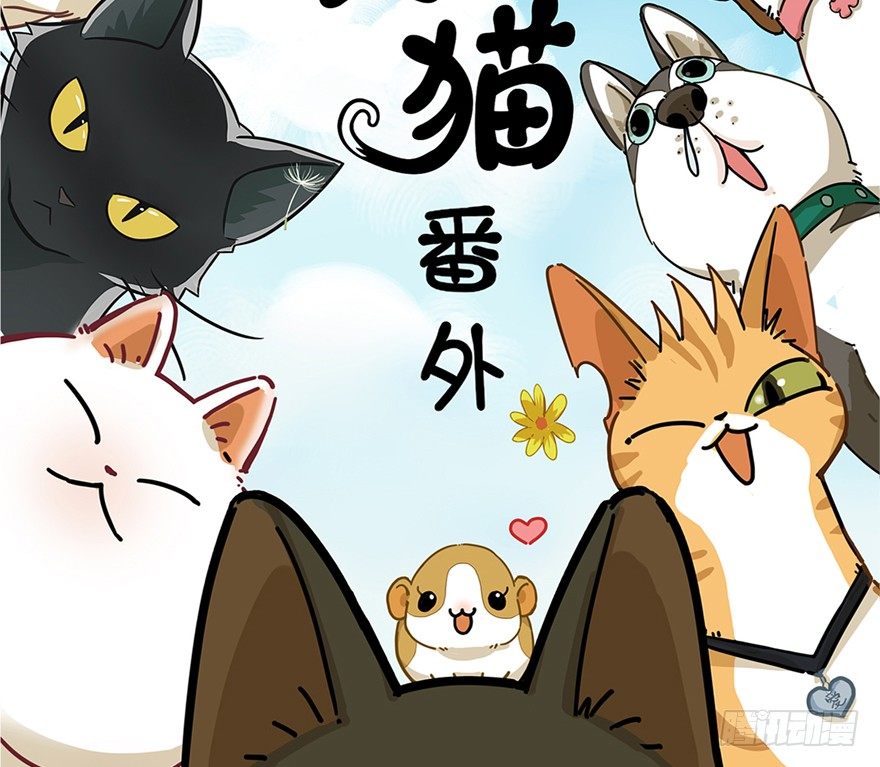 《回到过去变成猫外传》第3爪 做猫第一课（下） 第2页