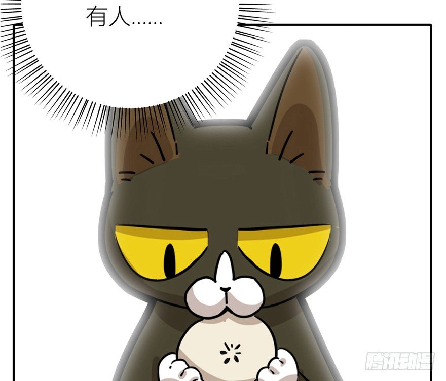 《回到过去变成猫外传》第3爪 做猫第一课（下） 第33页