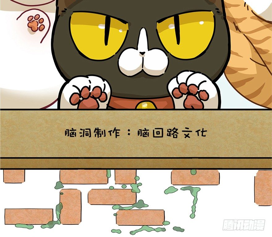 《回到过去变成猫外传》第3爪 做猫第一课（下） 第3页
