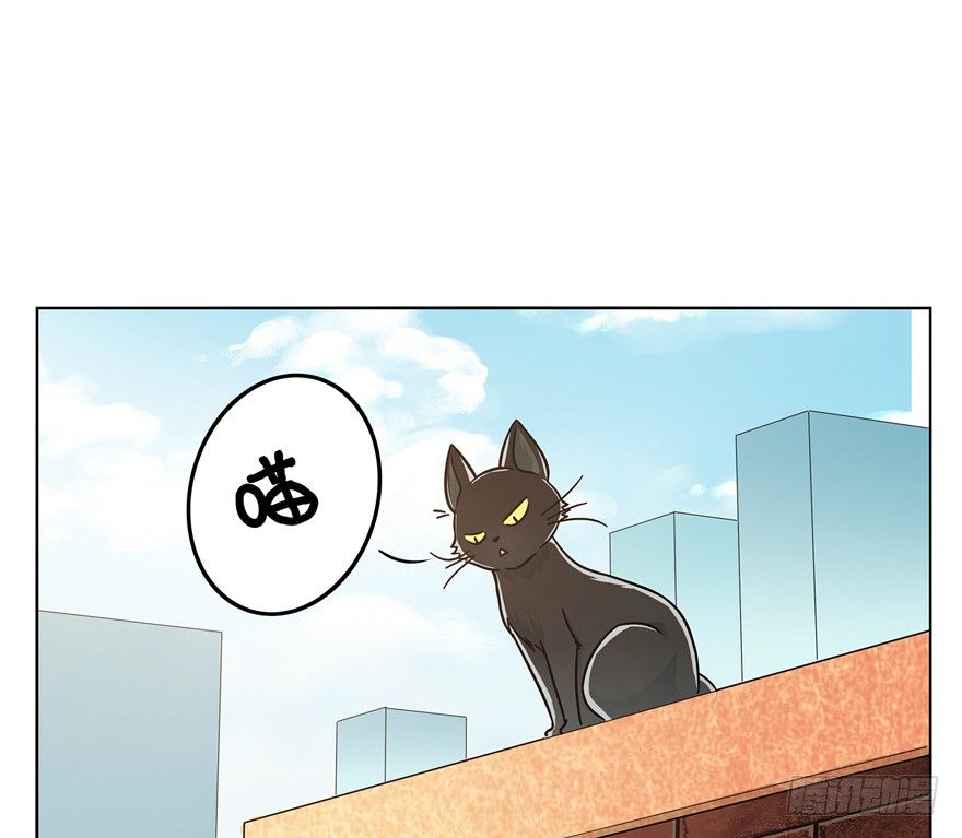《回到过去变成猫外传》第3爪 做猫第一课（下） 第5页