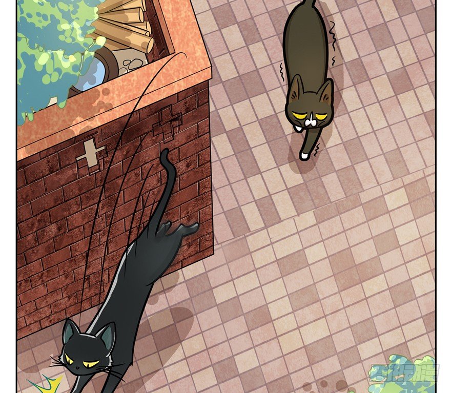 《回到过去变成猫外传》第3爪 做猫第一课（下） 第8页