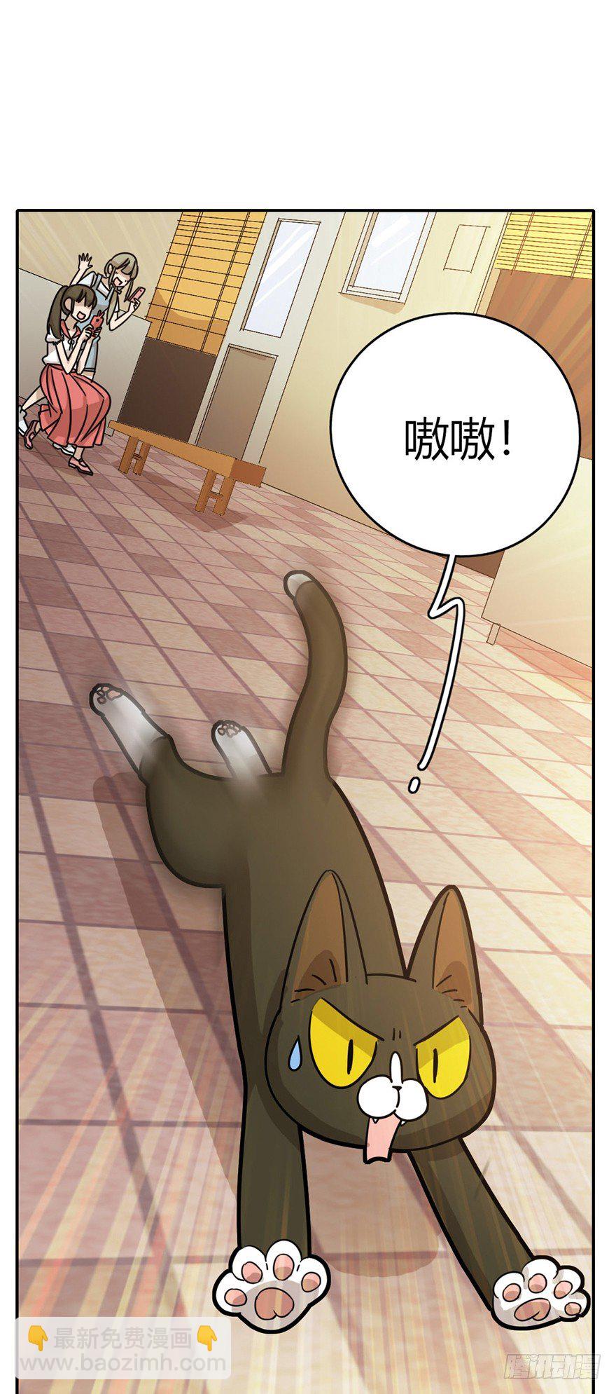 《回到过去变成猫外传》第5爪 似是故人来（上） 第5页