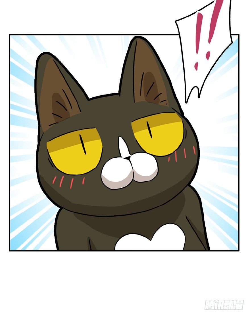 《回到过去变成猫外传》第7爪 一生所爱 第10页