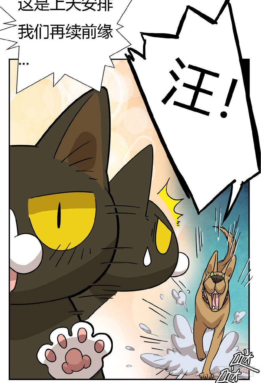 《回到过去变成猫外传》第7爪 一生所爱 第16页