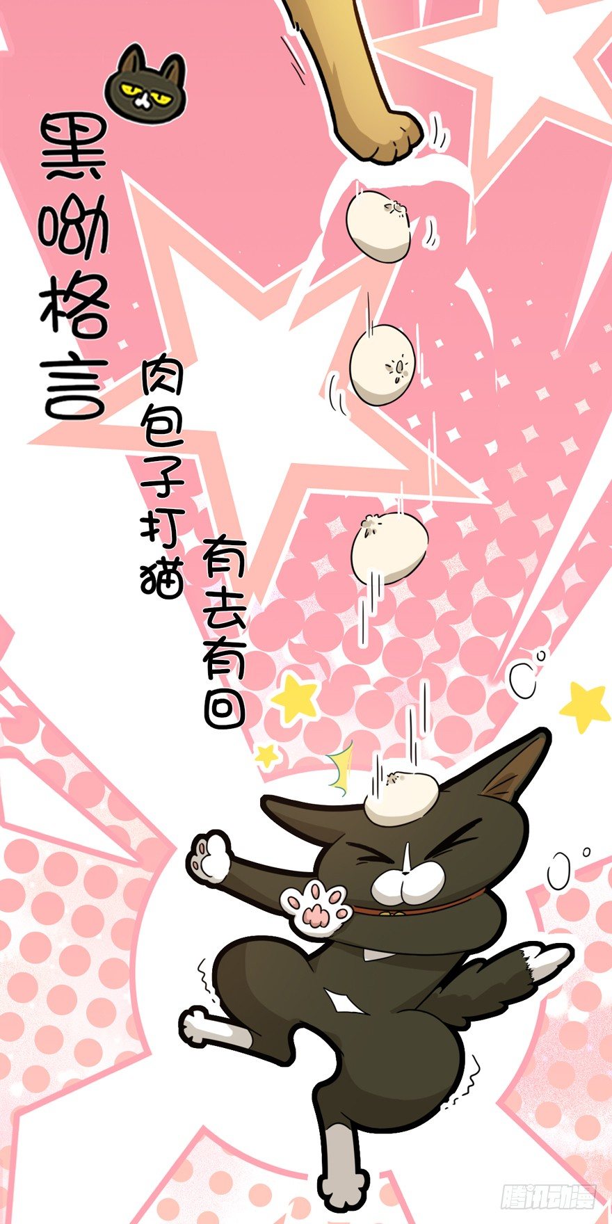 《回到过去变成猫外传》第7爪 一生所爱 第26页