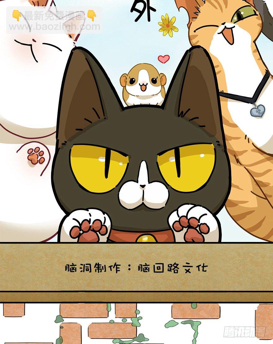 《回到过去变成猫外传》第7爪 一生所爱 第2页