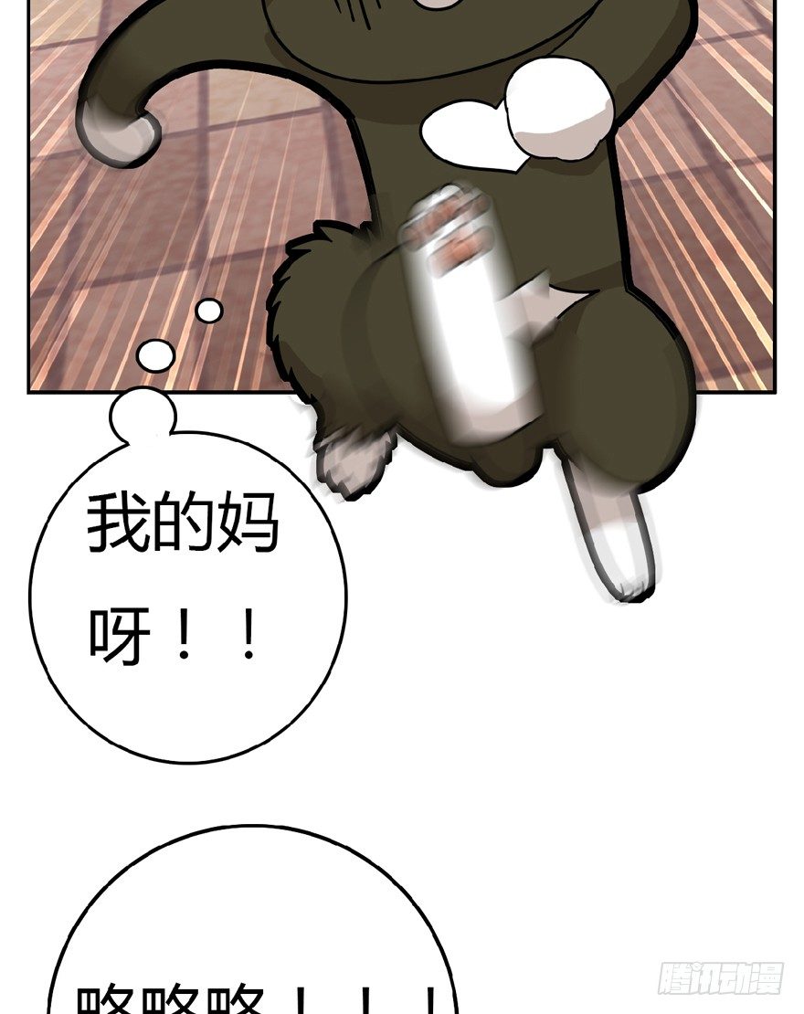 《回到过去变成猫外传》第7爪 一生所爱 第5页