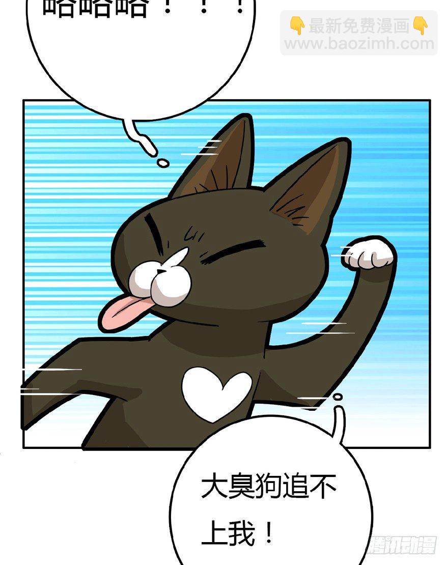 《回到过去变成猫外传》第7爪 一生所爱 第6页