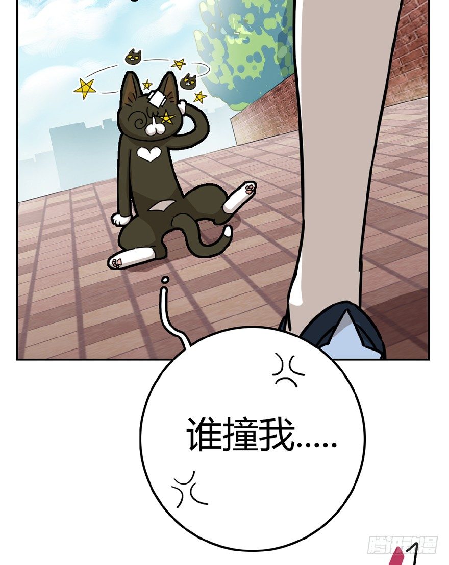 《回到过去变成猫外传》第7爪 一生所爱 第9页
