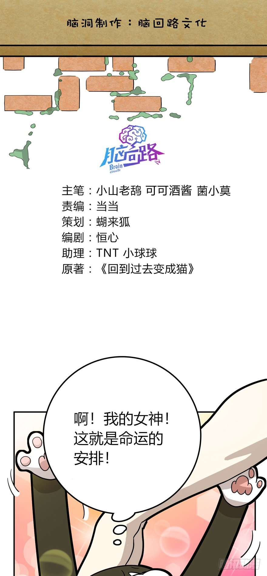 《回到过去变成猫外传》第8爪 初吻没了 第2页