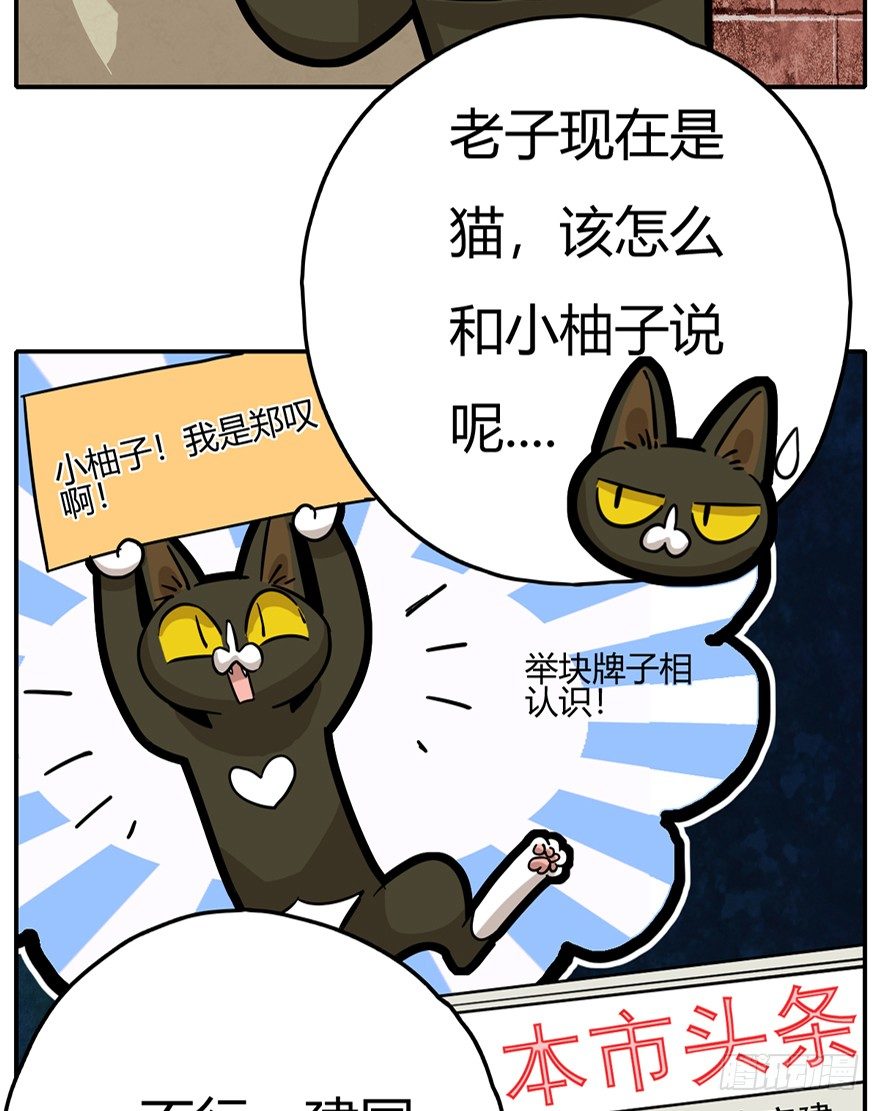 《回到过去变成猫外传》第6爪 似是故人来（下） 第12页