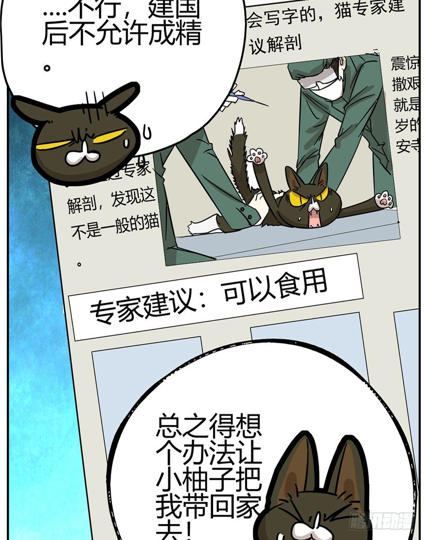 《回到过去变成猫外传》第6爪 似是故人来（下） 第13页