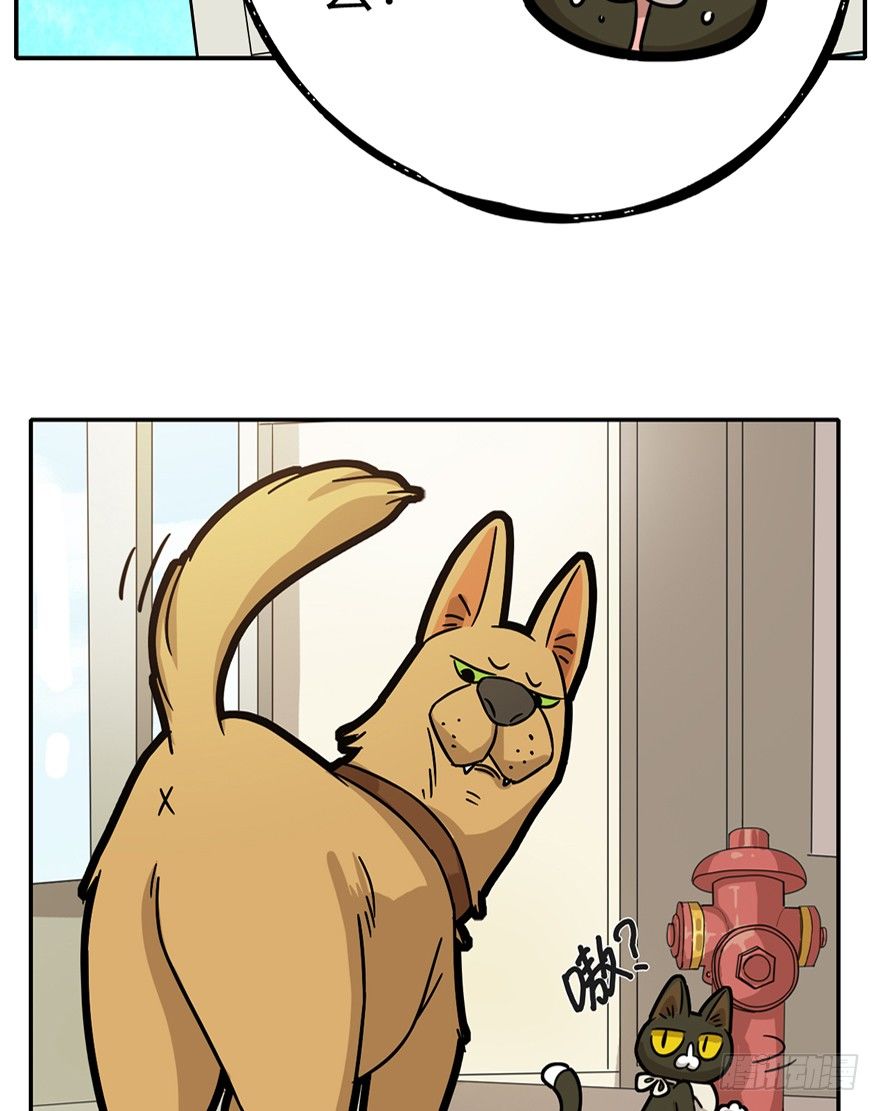 《回到过去变成猫外传》第6爪 似是故人来（下） 第14页