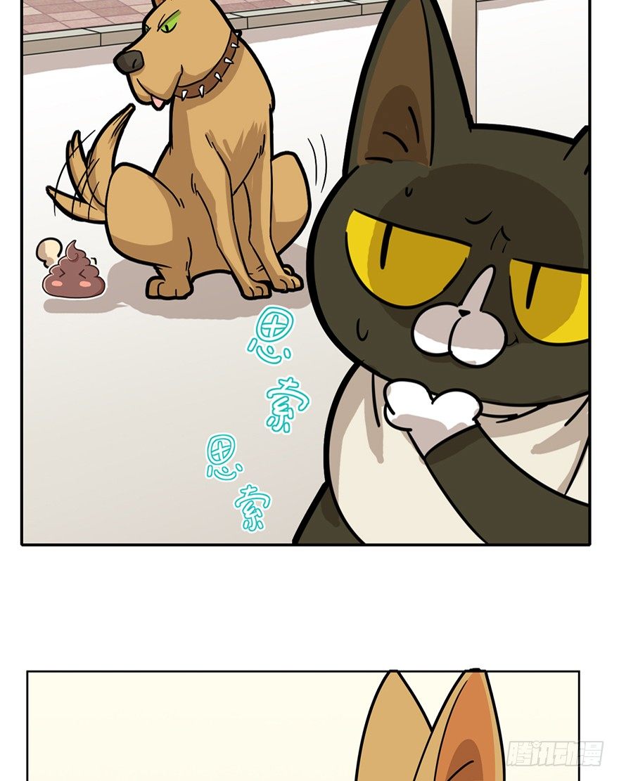 《回到过去变成猫外传》第6爪 似是故人来（下） 第16页