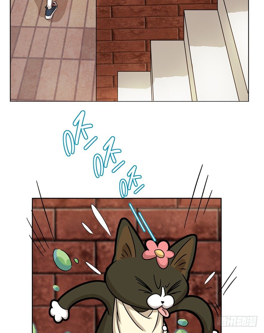 《回到过去变成猫外传》第6爪 似是故人来（下） 第8页