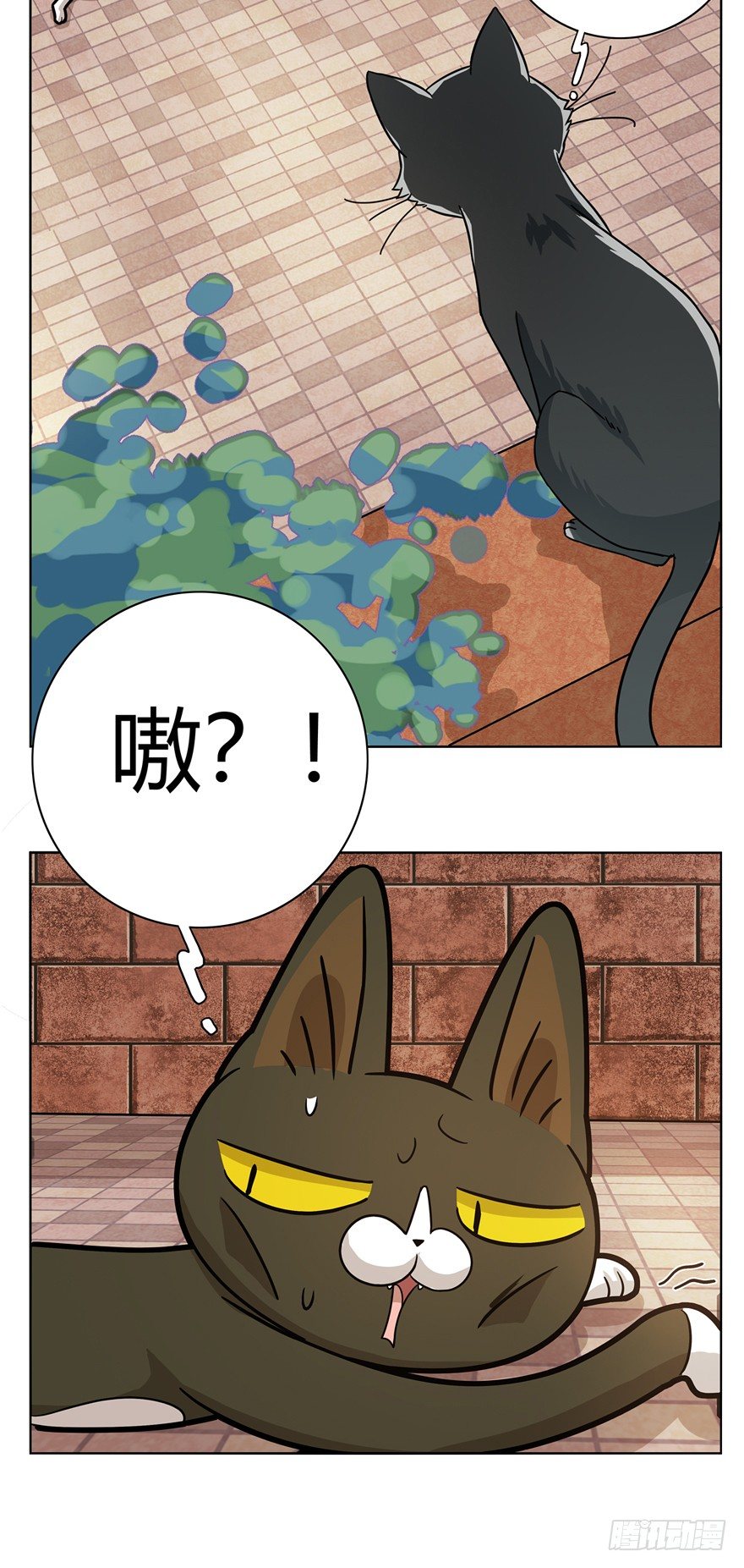 《回到过去变成猫外传》第12爪 番外 神秘的蛋嘴猫 第10页