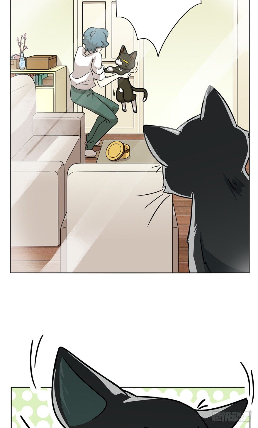 《回到过去变成猫外传》第12爪 番外 神秘的蛋嘴猫 第17页