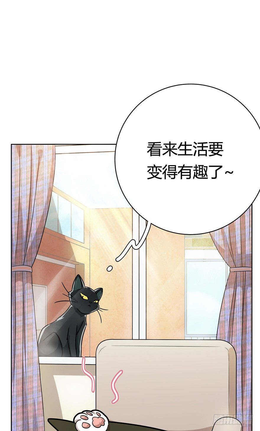 《回到过去变成猫外传》第12爪 番外 神秘的蛋嘴猫 第19页