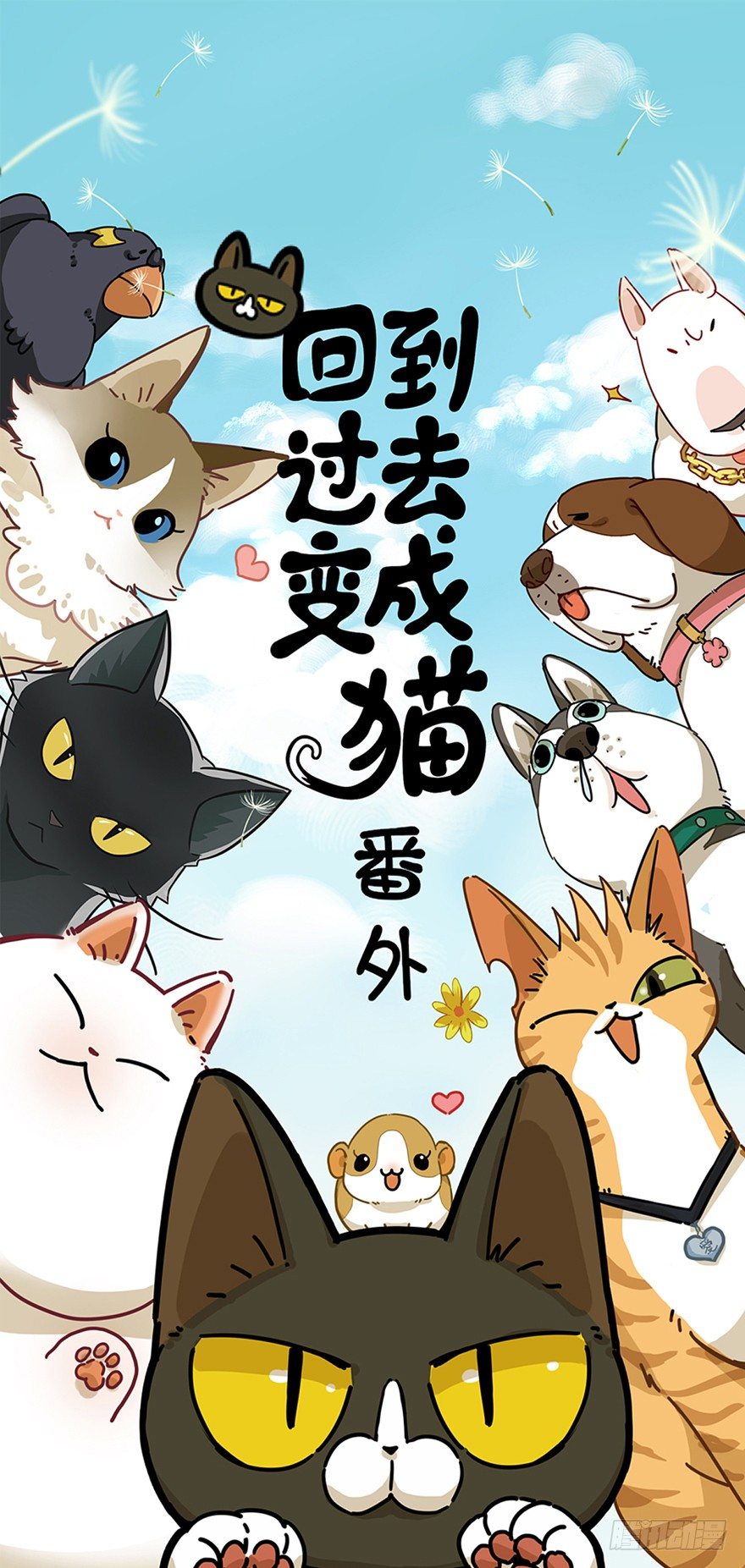 《回到过去变成猫外传》第12爪 番外 神秘的蛋嘴猫 第1页