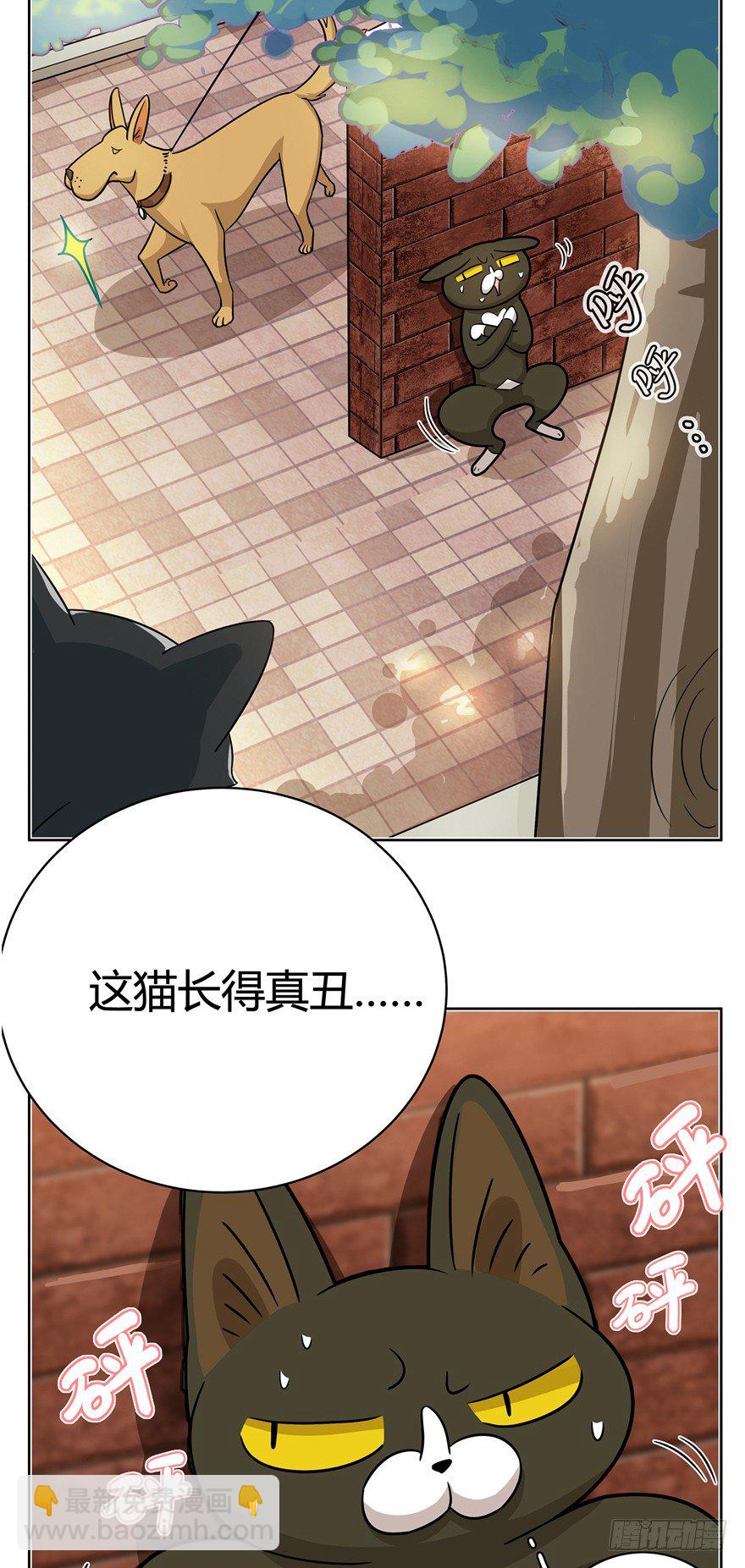 《回到过去变成猫外传》第12爪 番外 神秘的蛋嘴猫 第6页