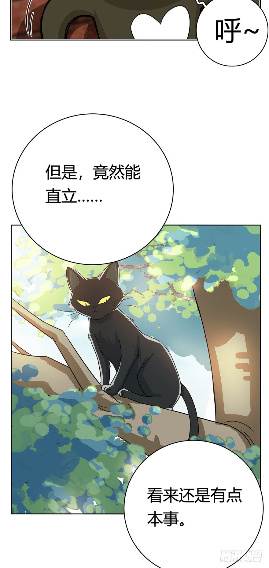 《回到过去变成猫外传》第12爪 番外 神秘的蛋嘴猫 第7页