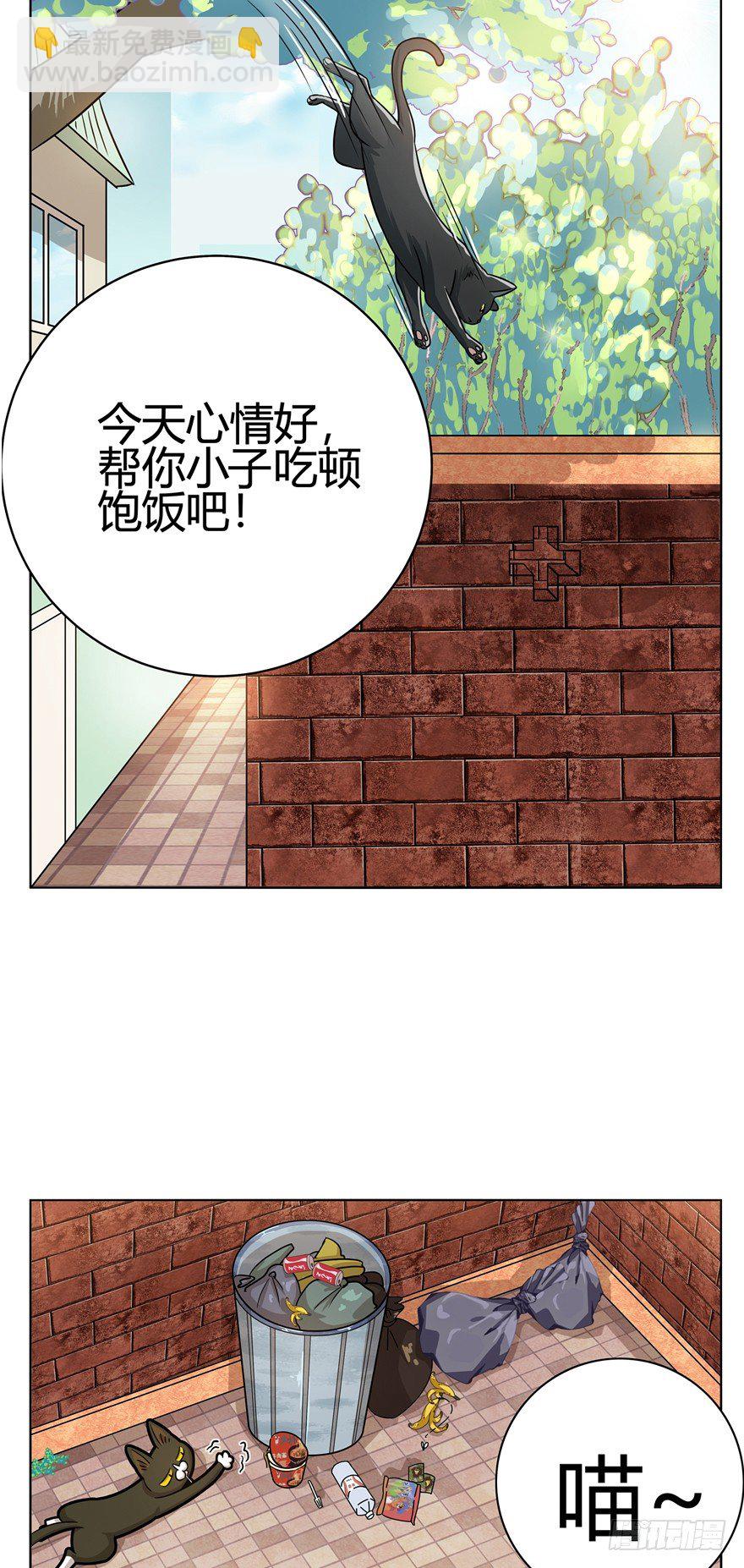 《回到过去变成猫外传》第12爪 番外 神秘的蛋嘴猫 第9页