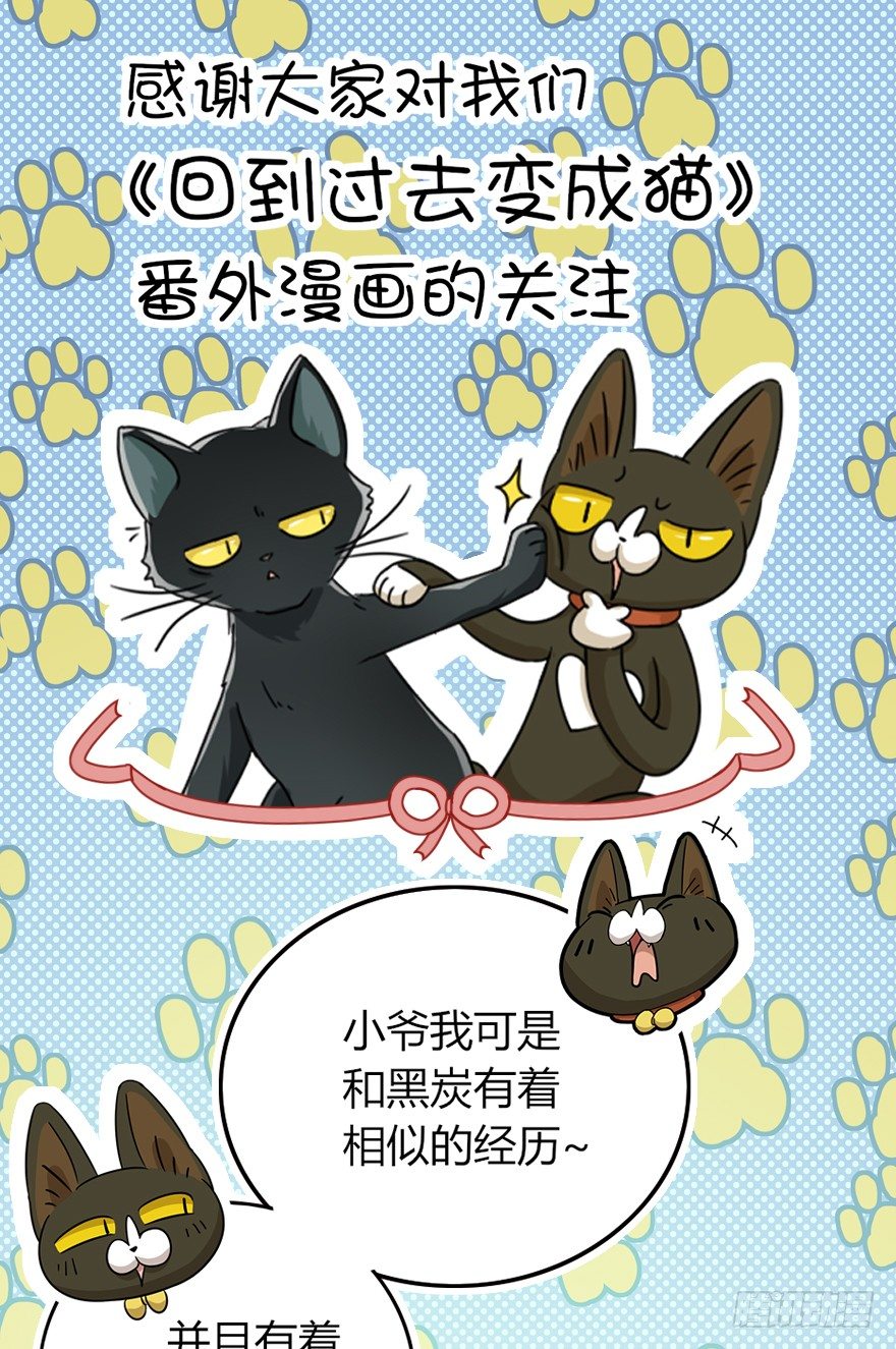 《回到过去变成猫外传》第9爪 起名真难 第22页