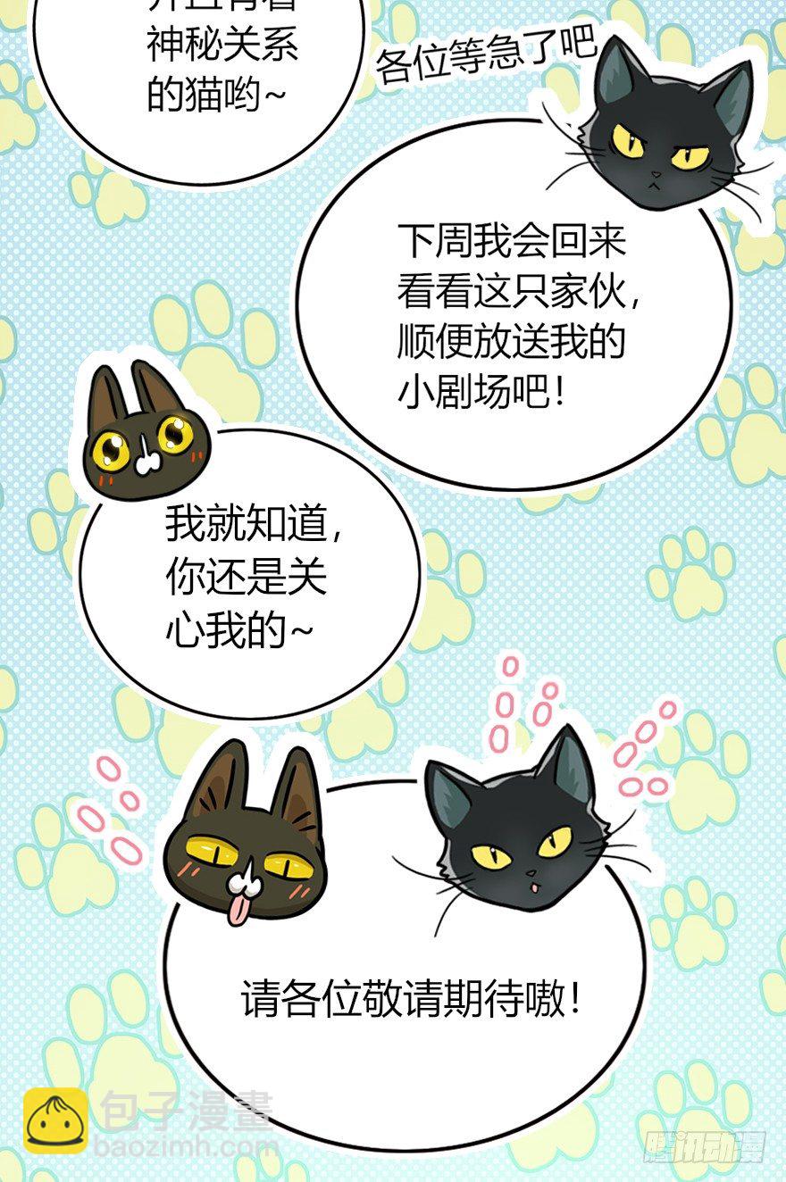 《回到过去变成猫外传》第9爪 起名真难 第23页