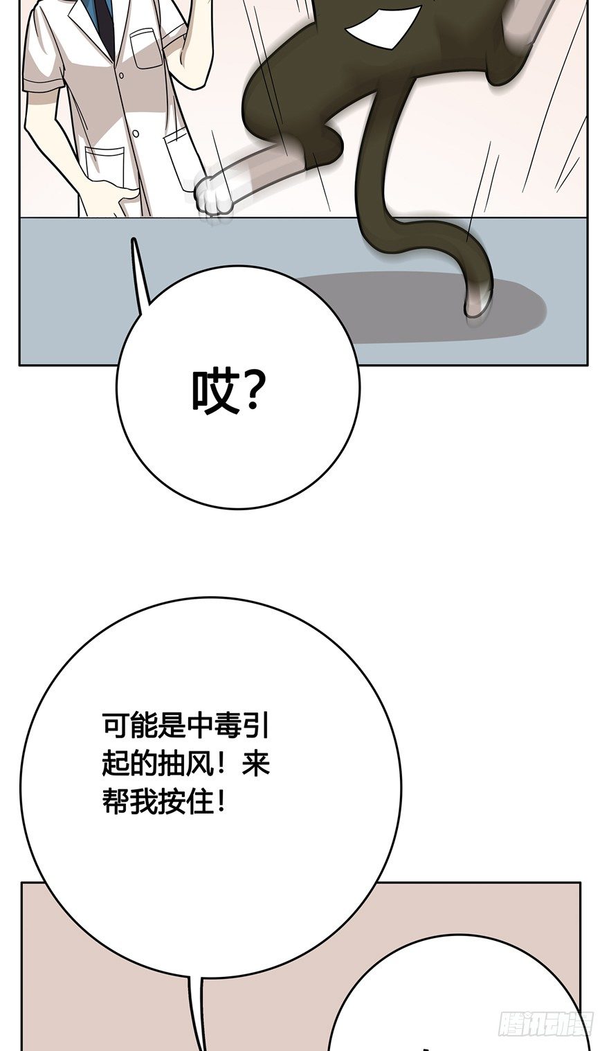《回到过去变成猫外传》第11爪 啥都能吃 第21页
