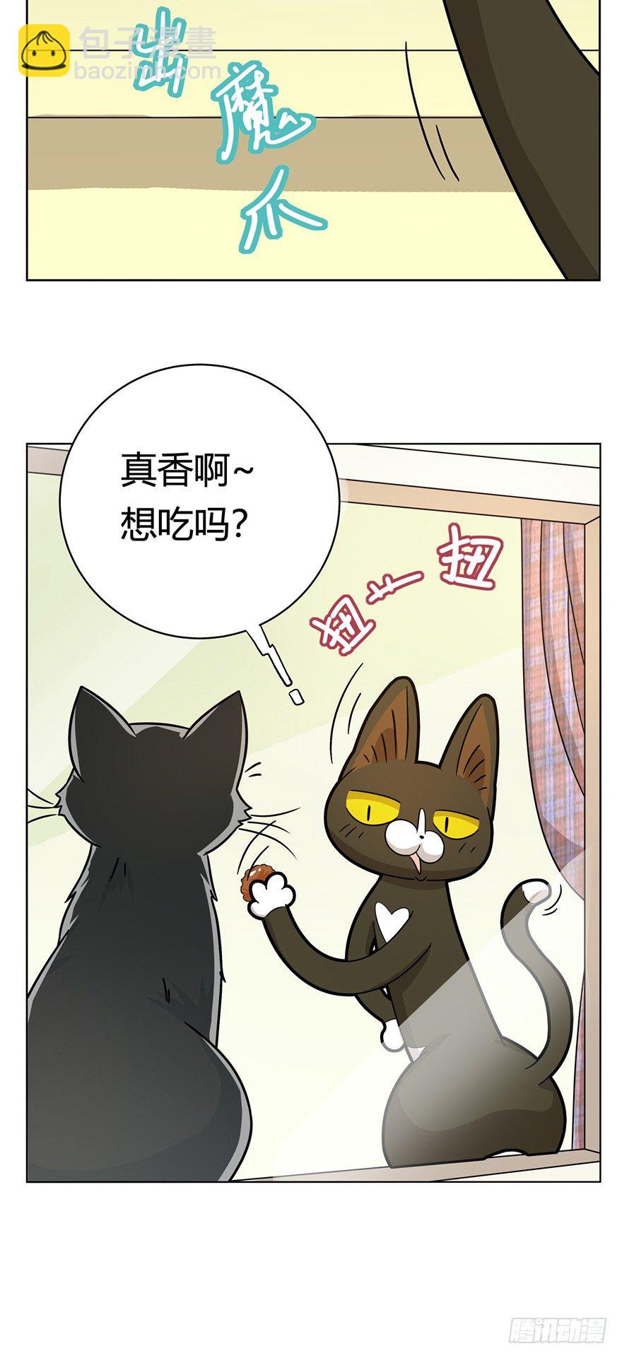 《回到过去变成猫外传》第11爪 啥都能吃 第6页