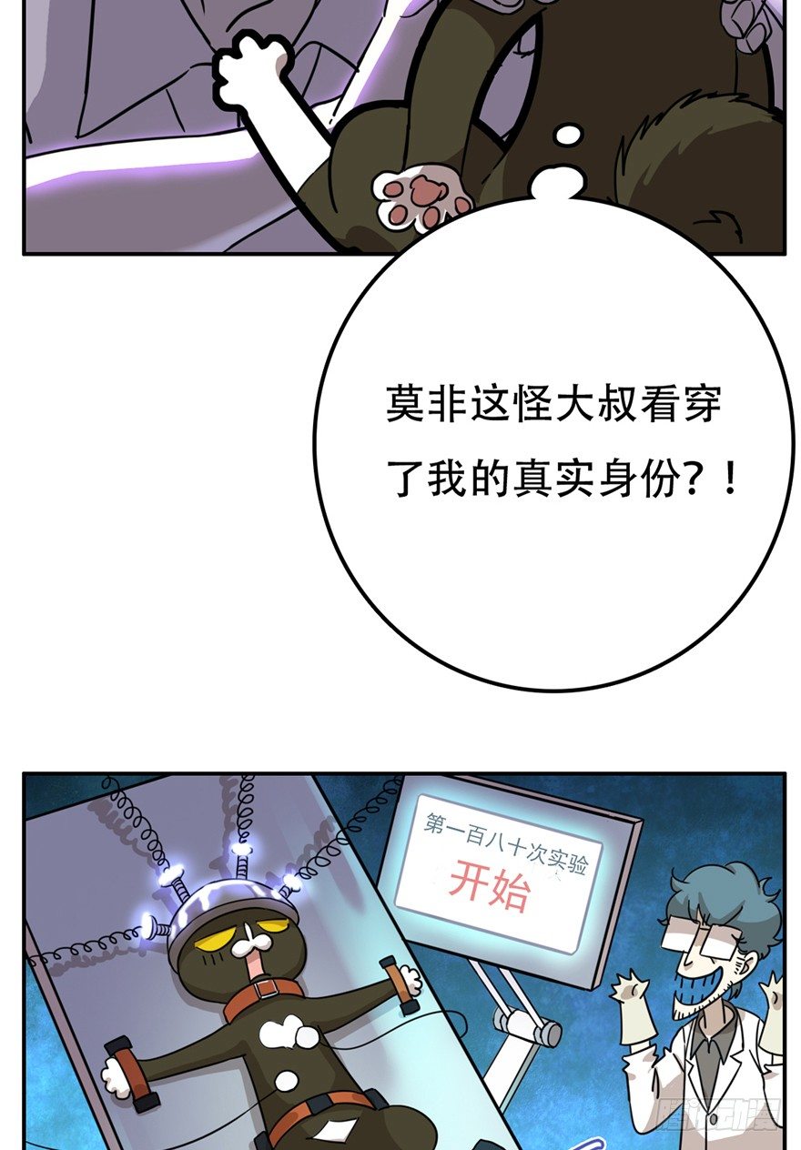《回到过去变成猫外传》第10爪 你的饭就是我的饭 第11页