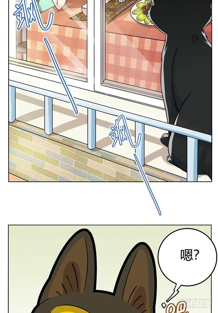 《回到过去变成猫外传》第10爪 你的饭就是我的饭 第27页