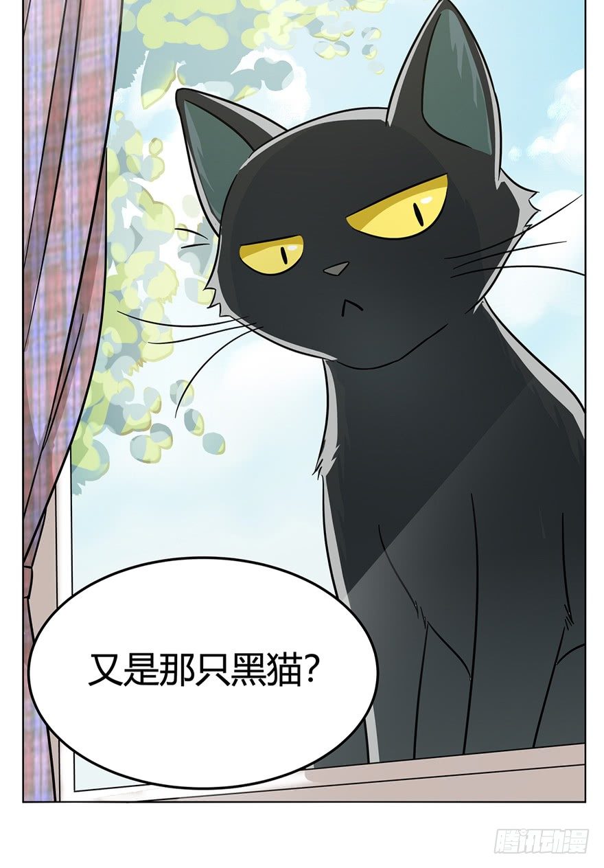 《回到过去变成猫外传》第10爪 你的饭就是我的饭 第29页