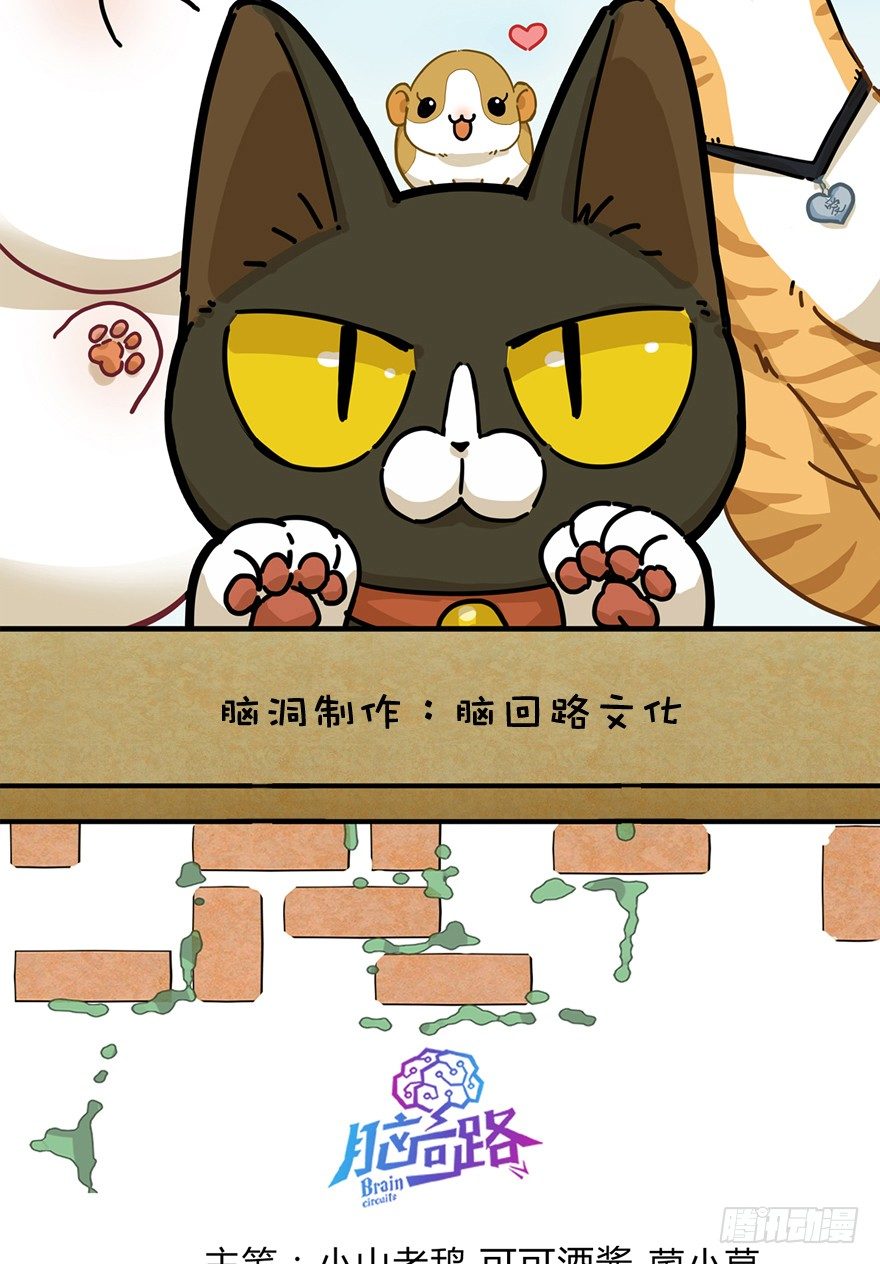 《回到过去变成猫外传》第10爪 你的饭就是我的饭 第2页