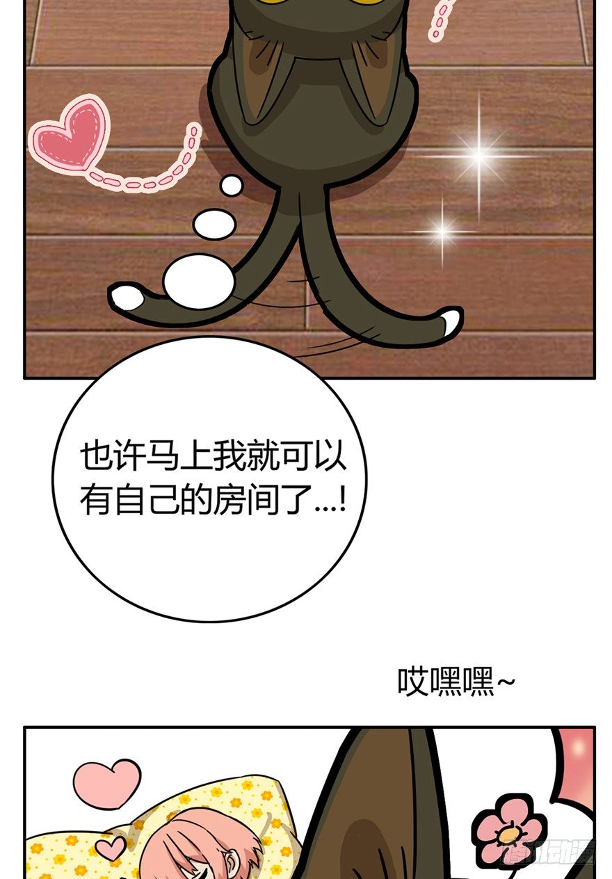 《回到过去变成猫外传》第10爪 你的饭就是我的饭 第5页