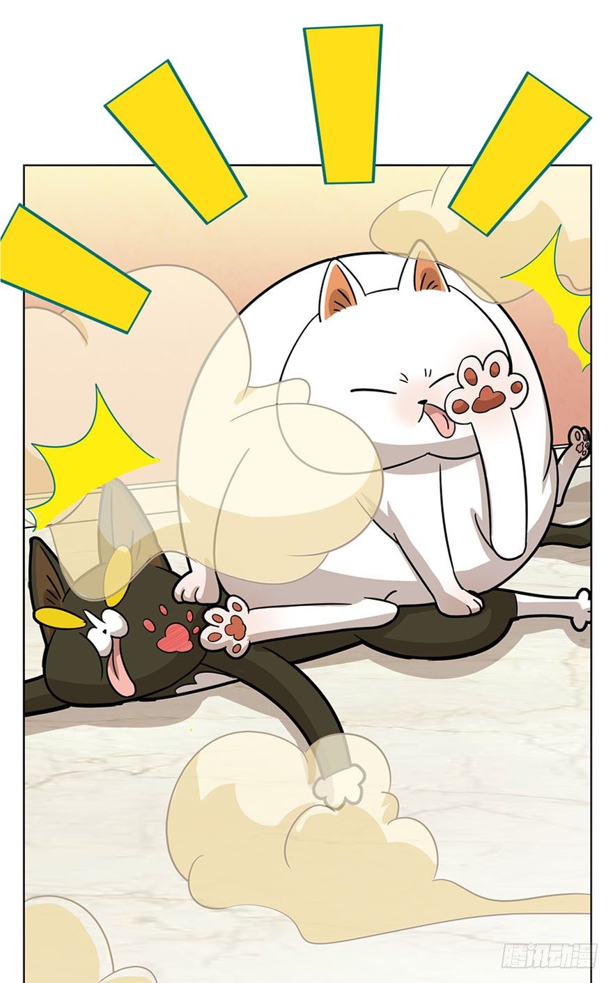 《回到过去变成猫外传》第14爪 服不服！ 第12页