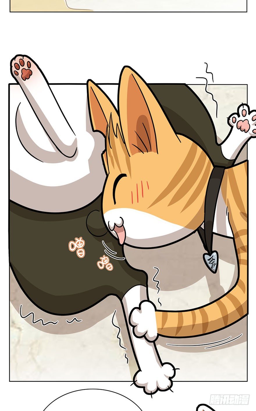 《回到过去变成猫外传》第14爪 服不服！ 第13页