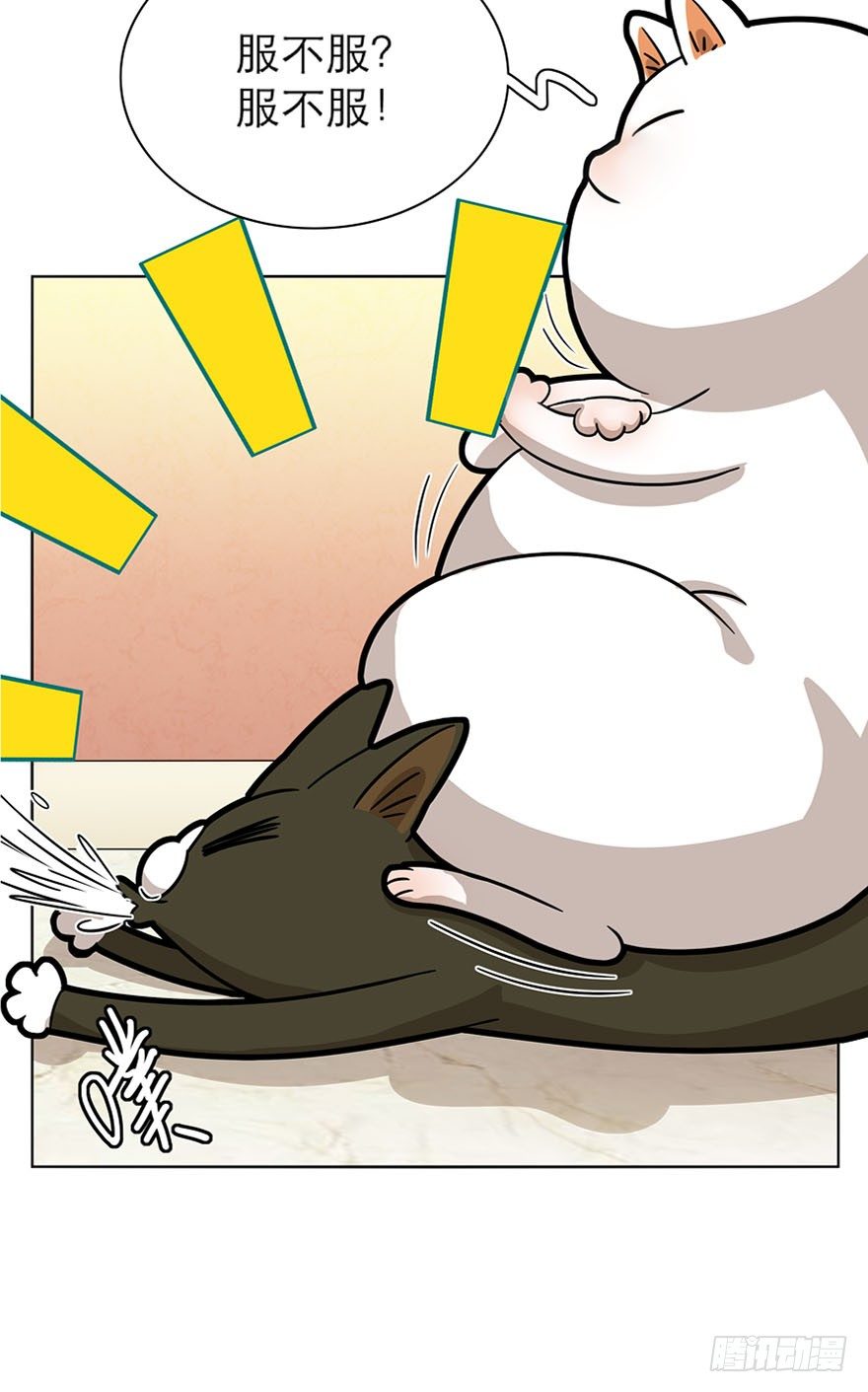 《回到过去变成猫外传》第14爪 服不服！ 第14页