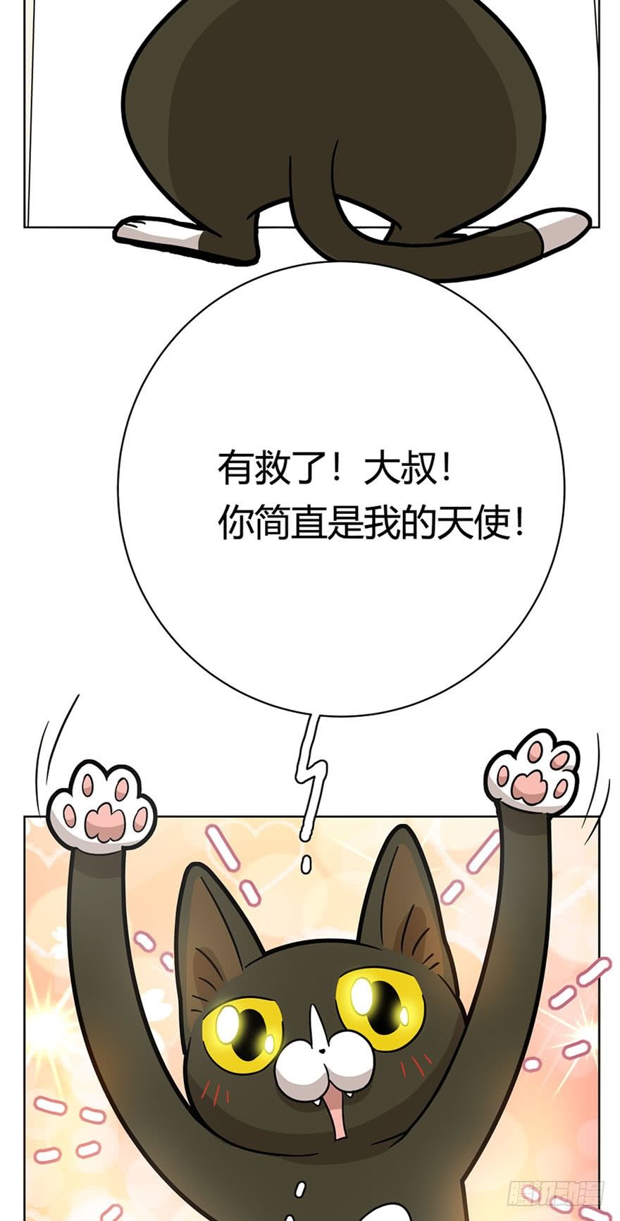《回到过去变成猫外传》第14爪 服不服！ 第18页