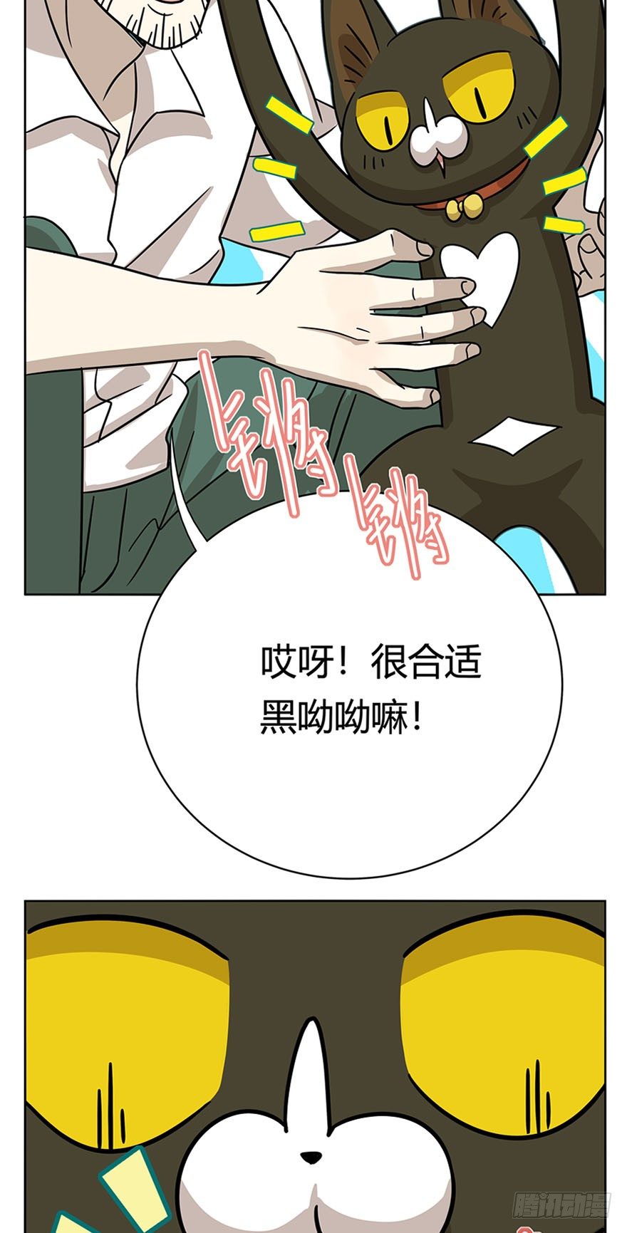 《回到过去变成猫外传》第14爪 服不服！ 第20页